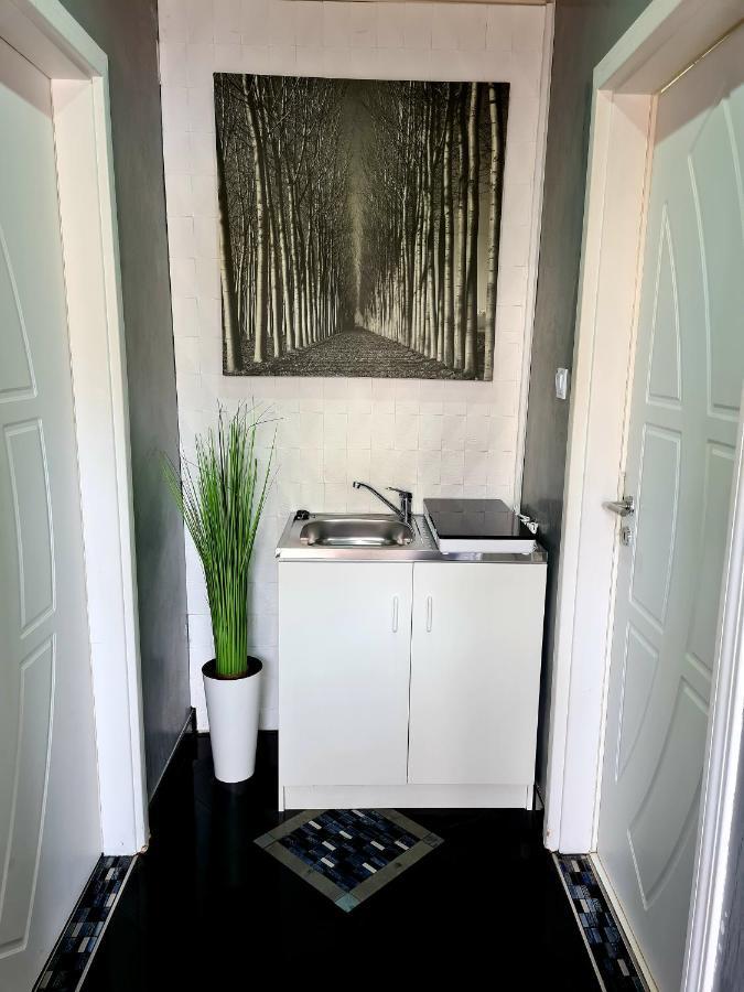 Airport Luxury Apartman 42 베체스 외부 사진