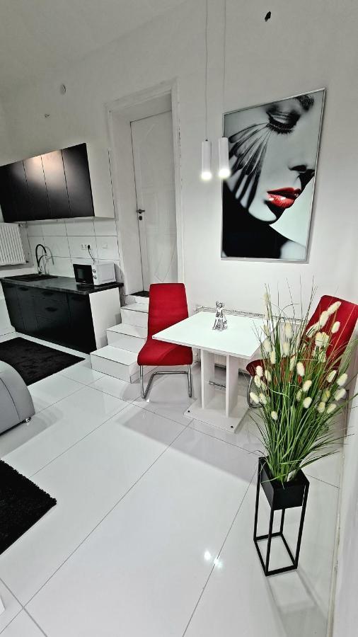 Airport Luxury Apartman 42 베체스 외부 사진
